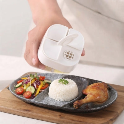 pot a epice main assaisonne son plat salade poulet riz